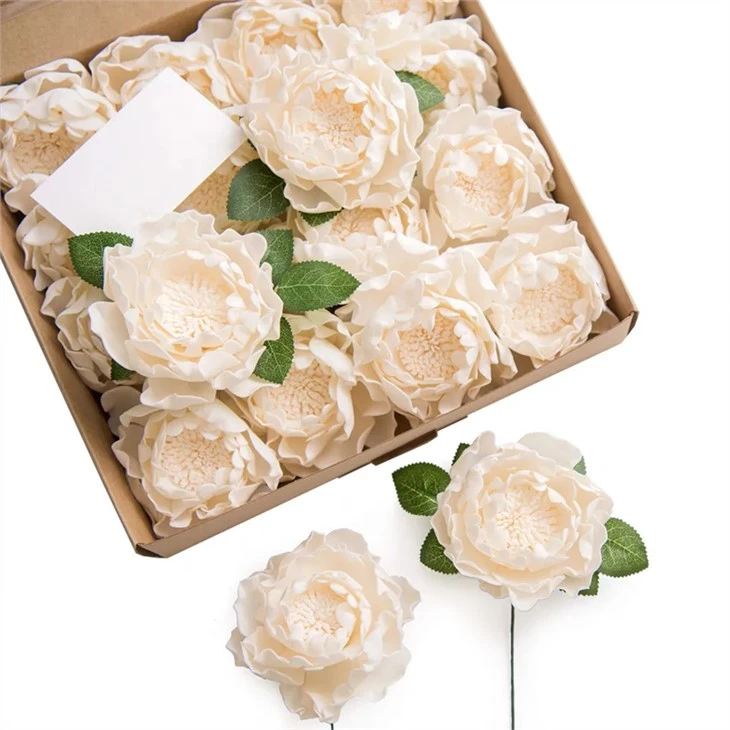 Peony Dried Sola Flower